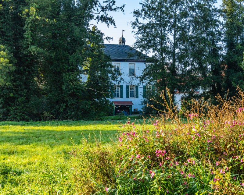 Herrenhaus Proebsting See Borken mit Wildblumenwiese