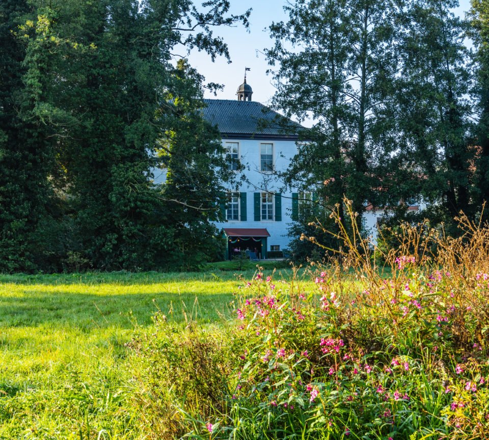 Herrenhaus Proebsting See Borken mit Wildblumenwiese