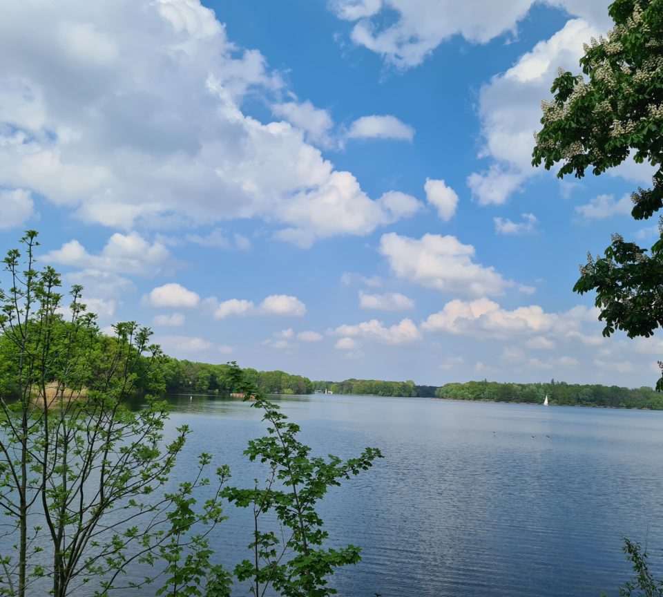 Seeblick auf den Halterner Stausee von Hohe Mark RadRoute