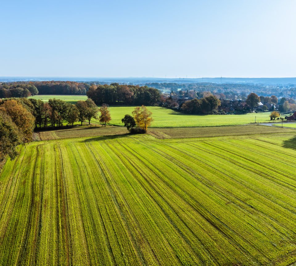 Aussicht Melchenberg Reken auf Münsterländer Parklandschaft