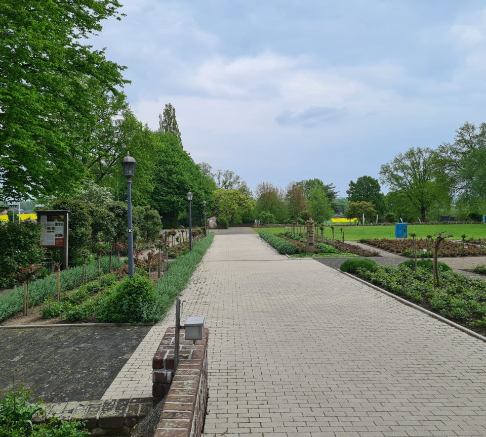 Rosengarten in Seppenrade im Fruehling Tagestour Hohe Mark RadRoute