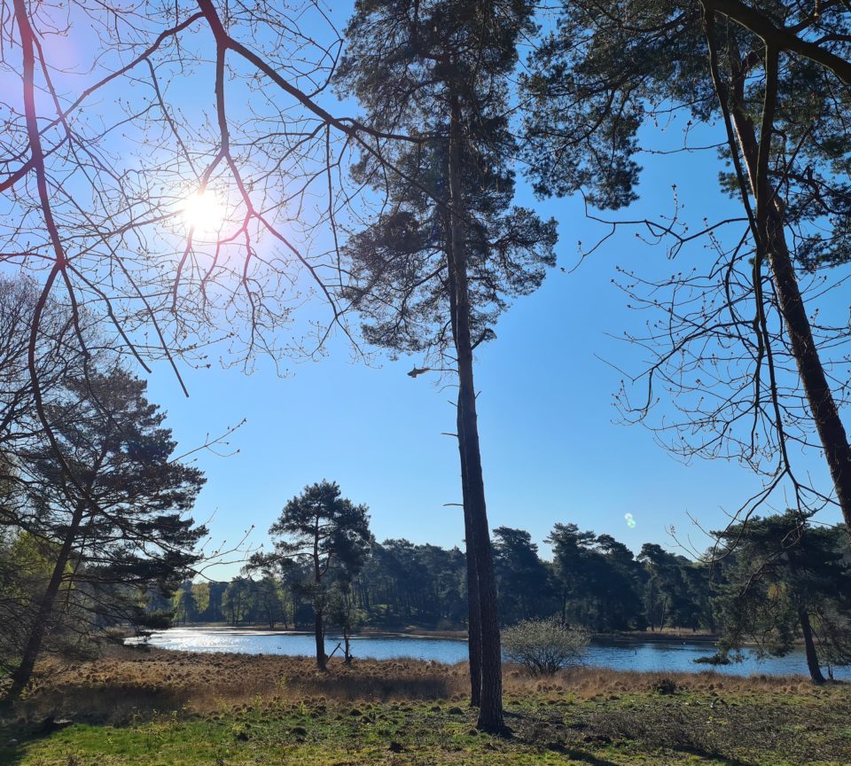 Blick auf das Schwarze Wasser in Wesel-Diersfordt