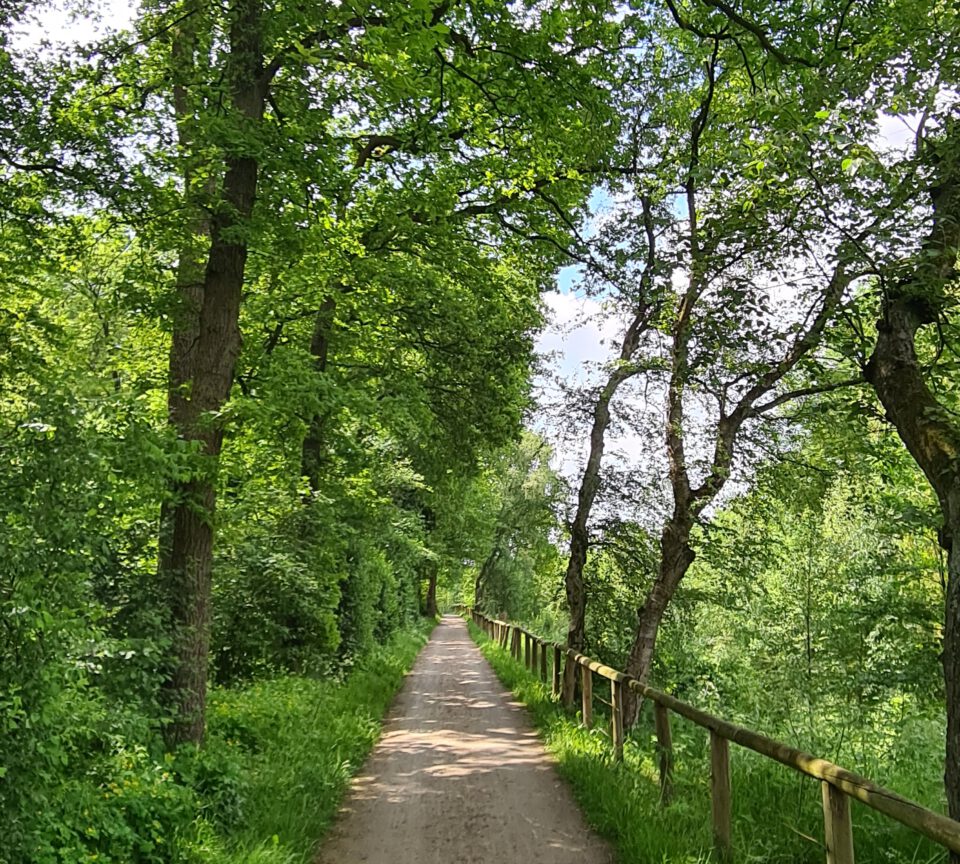 Tagestour mit dem Rad im Ruhrgebiet: von Dinslaken nach Bottrop