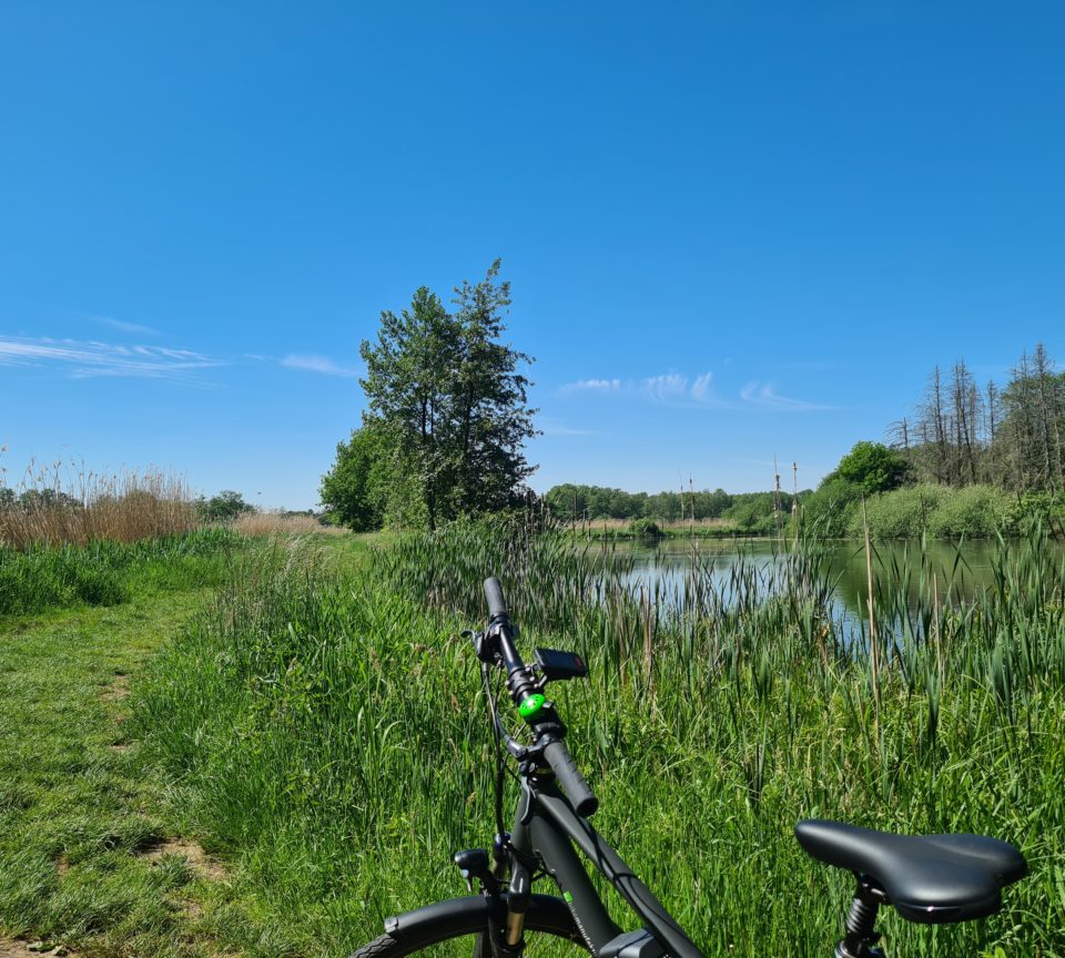 Fischteiche in der Heubachniederung