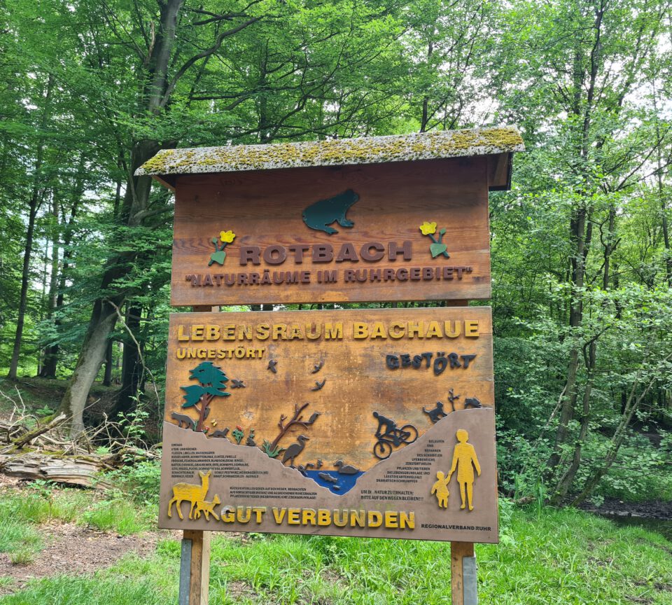 Info-Schild Rotbach im Hiesfelder Wald