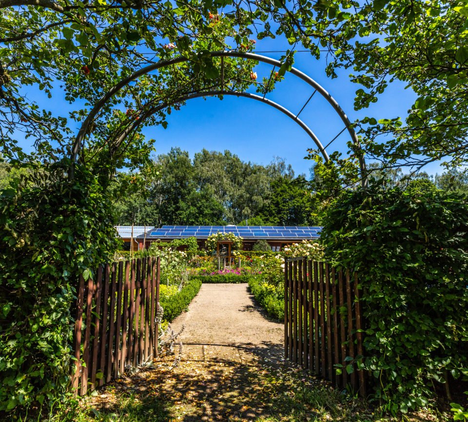 Sommerlicher Garten des Biologischen Zentrums Kreis Coesfeld in Luedinghausen