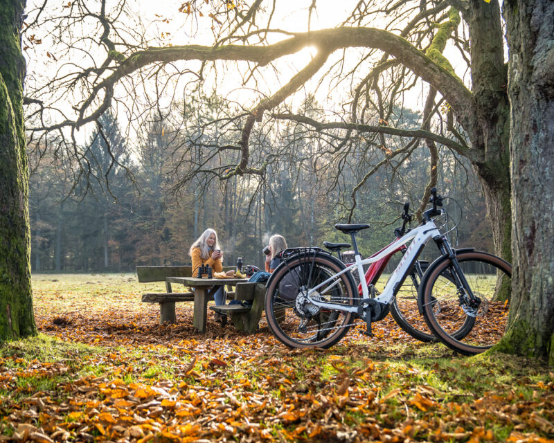 Freundinnen mit Herbst Picknick zwischen Bäumen Hohe Mark RadRoute